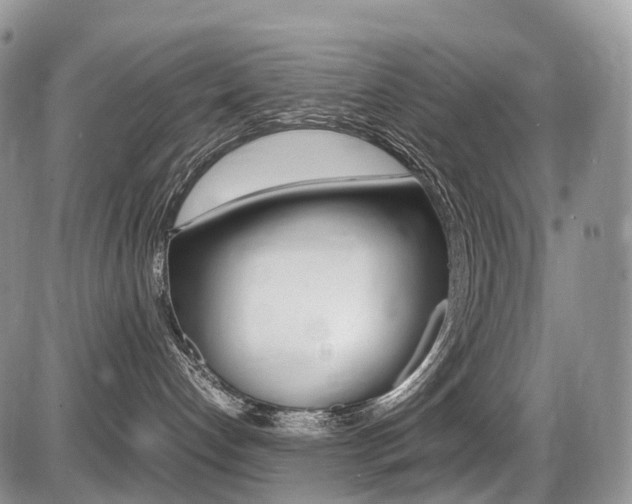 X0000087420192200704201055