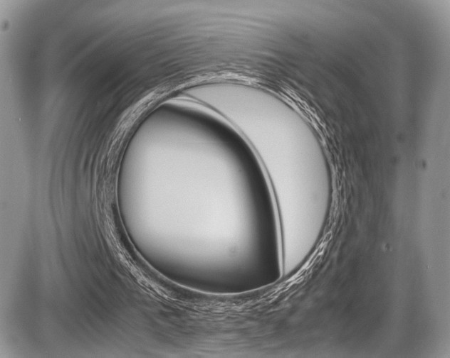 X0000087420193200704201054