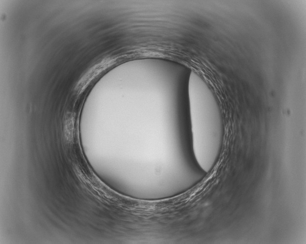 X0000087420194200704201054