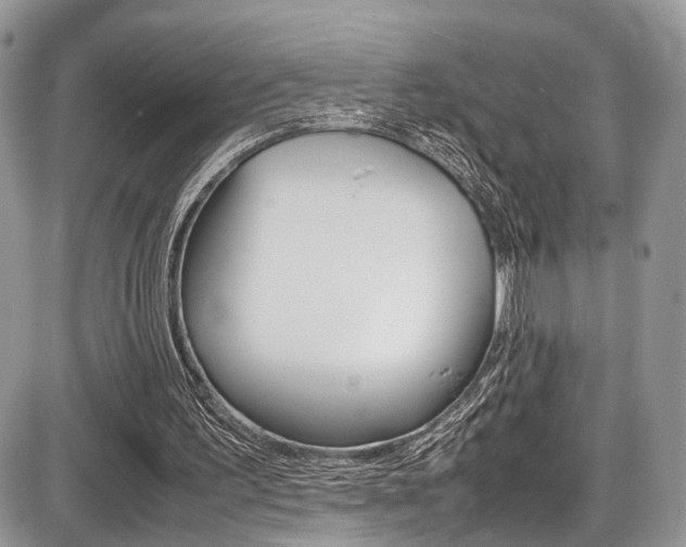 X0000087420195200704201054