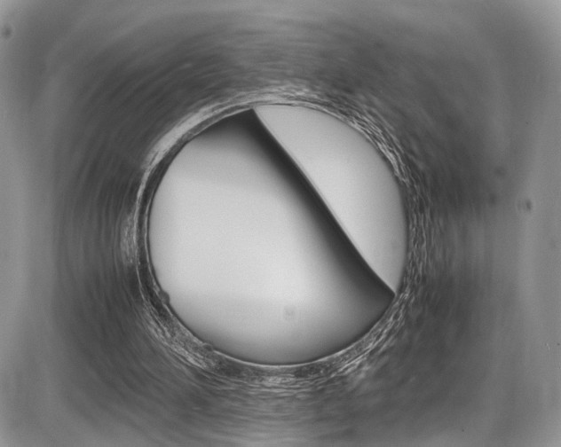 X0000087420196200704201054