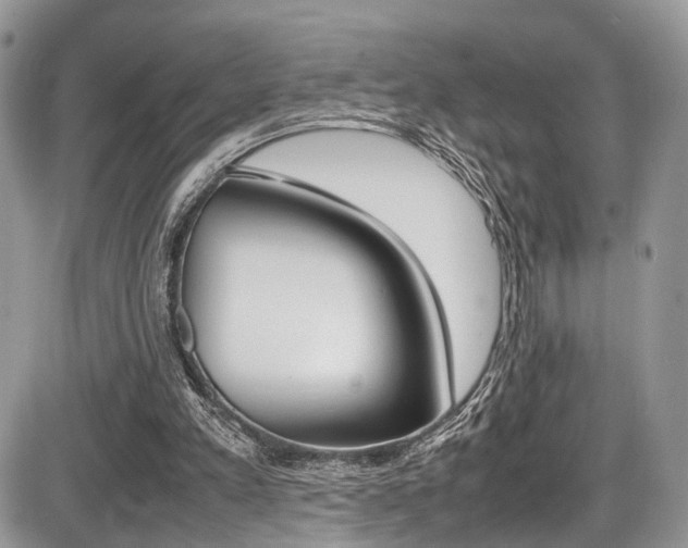 X0000087420197200704201054