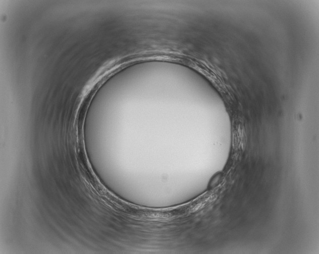 X0000087420198200704201054