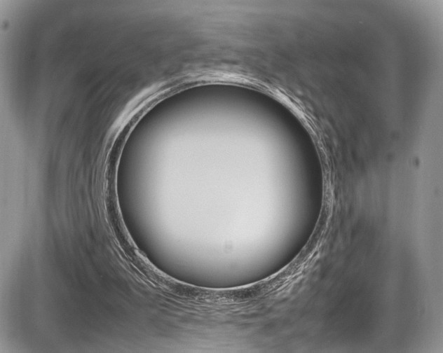 X0000087420199200704201054