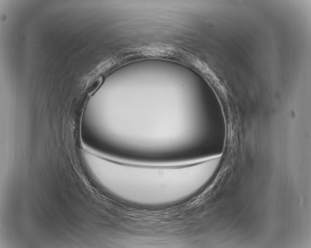 X0000087420201200704201054