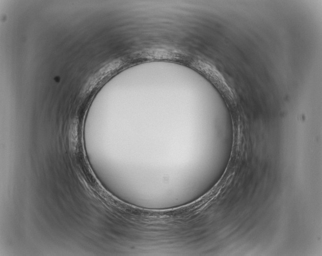 X0000087420202200704201054