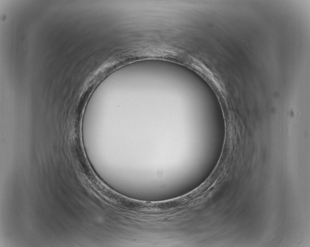 X0000087420203200704201054