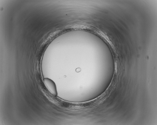 X0000087420205200704201054