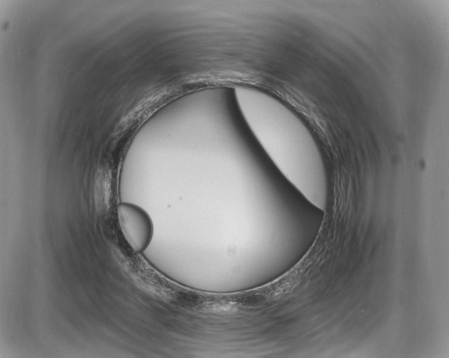 X0000087420206200704201054