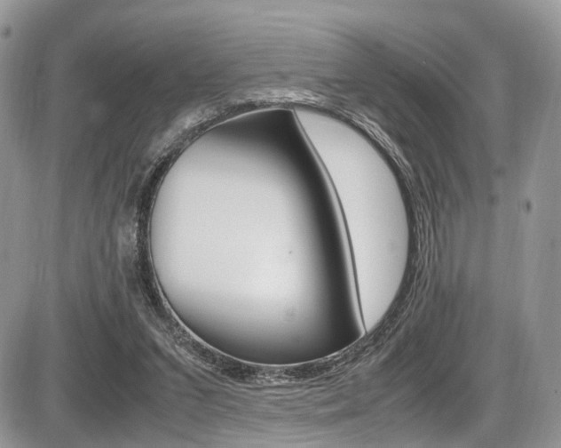 X0000087420207200704201054