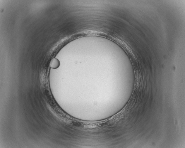 X0000087420208200704201054