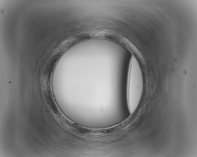 X0000087420209200704201054