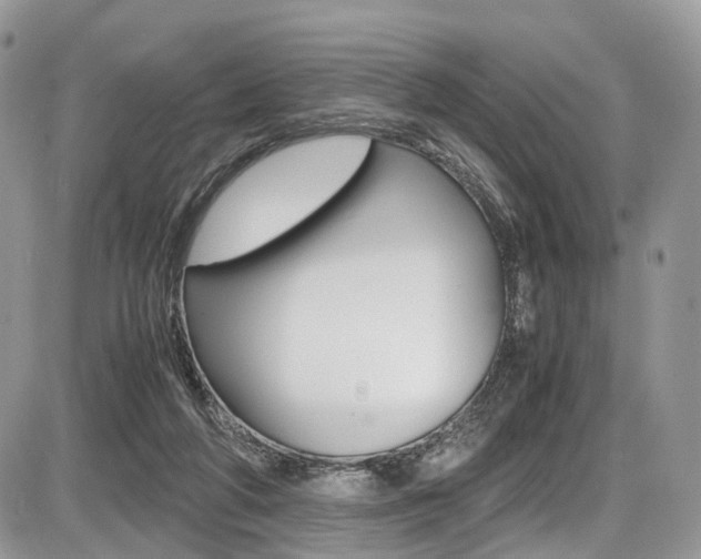 X0000087420210200704201054