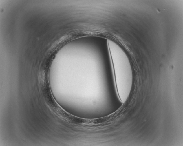 X0000087420211200704201054