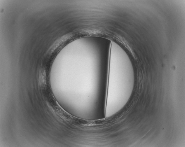 X0000087420212200704201054