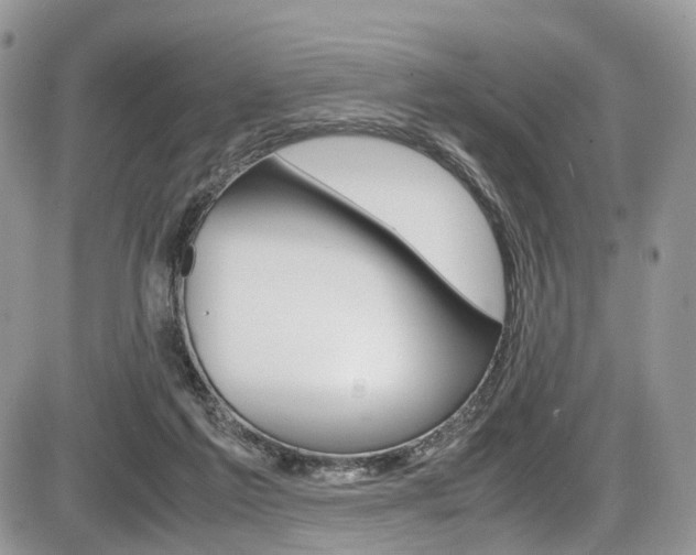 X0000087420213200704201054