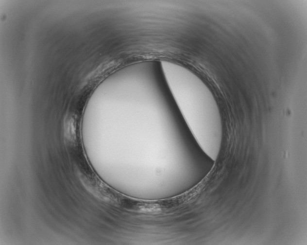 X0000087420214200704201054