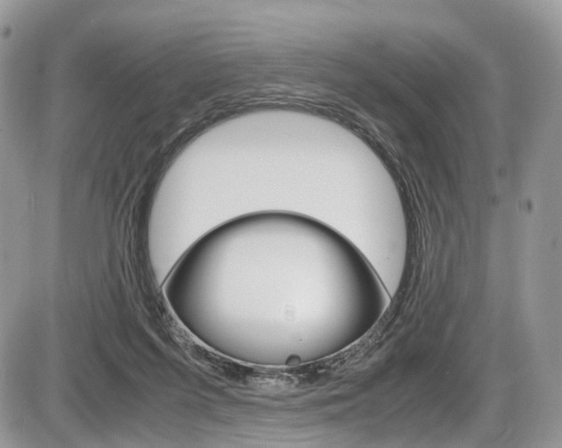 X0000087420215200704201054