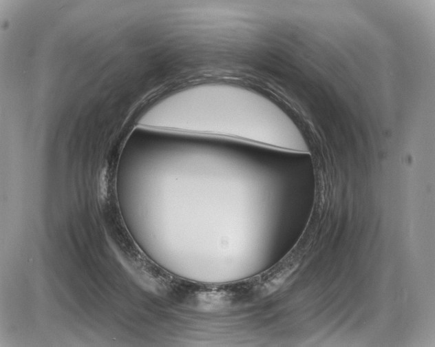 X0000087420216200704201054