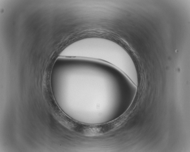 X0000087420217200704201054