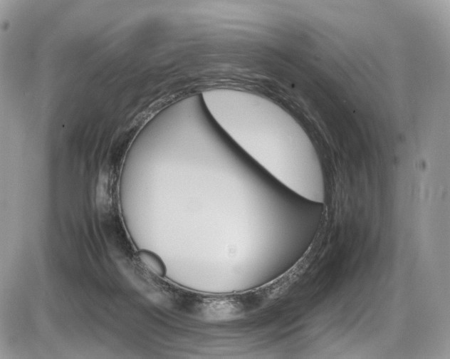 X0000087420218200704201054