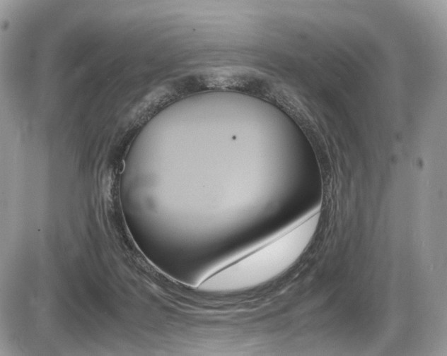 X0000087420219200704201053