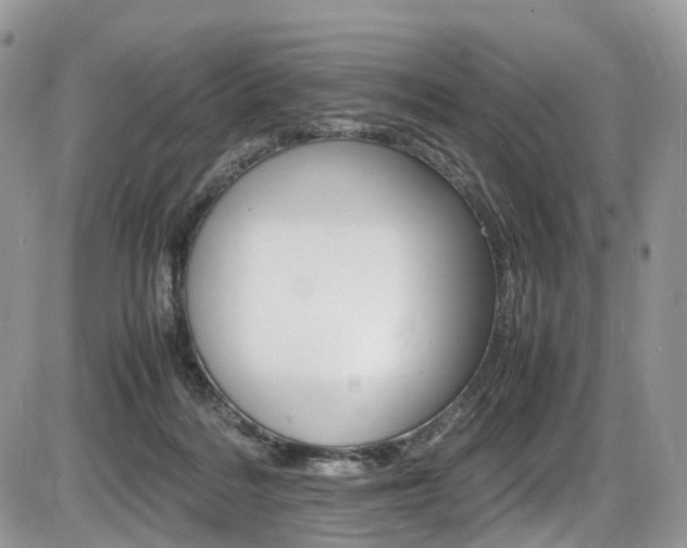 X0000087420220200704201053