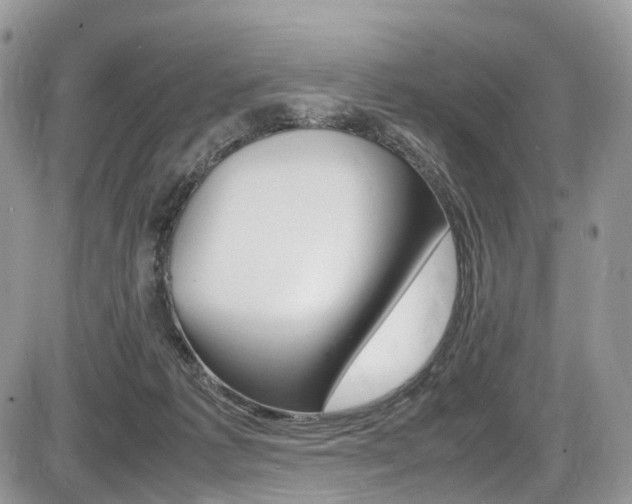 X0000087420221200704201053