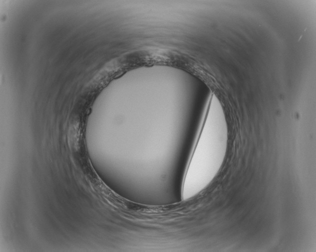 X0000087420223200704201053