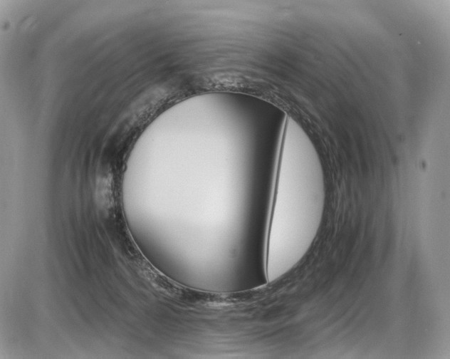 X0000087420224200704201053