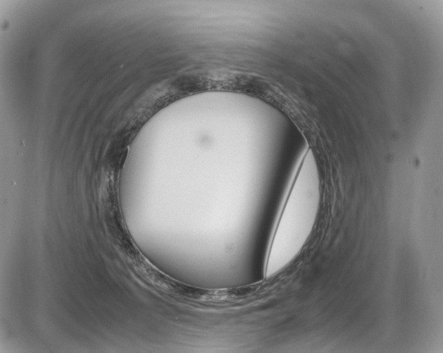 X0000087420225200704201053