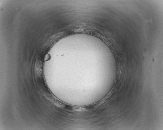 X0000087420226200704201053