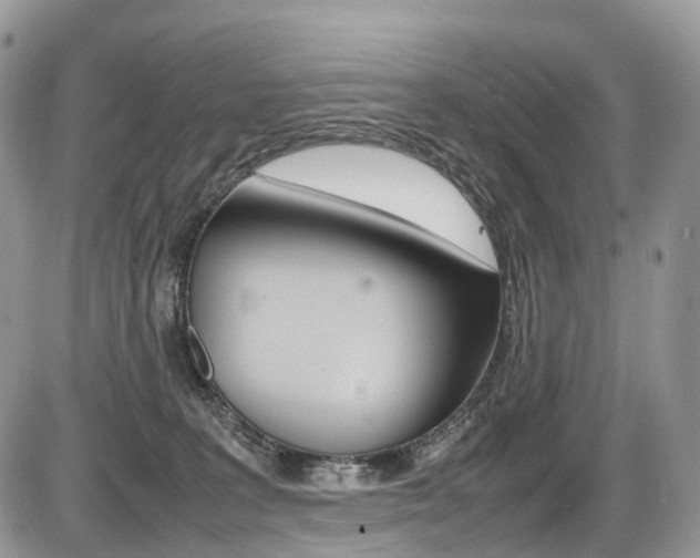 X0000087420227200704201053