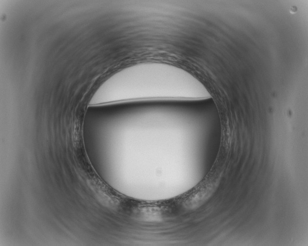 X0000087420228200704201053