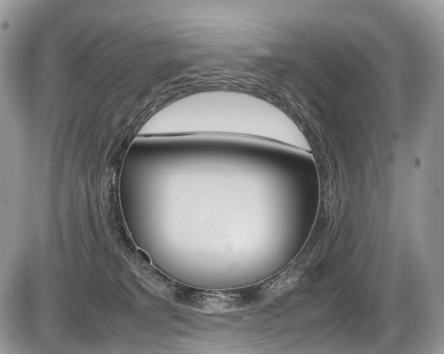 X0000087420229200704201053