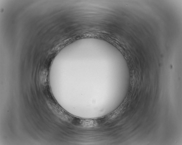 X0000087420230200704201053