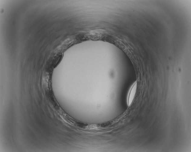 X0000087420231200704201053