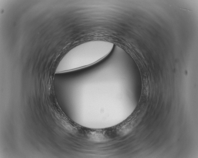 X0000087420232200704201053