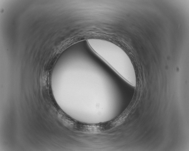 X0000087420233200704201053