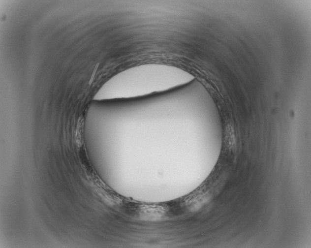 X0000087420234200704201053