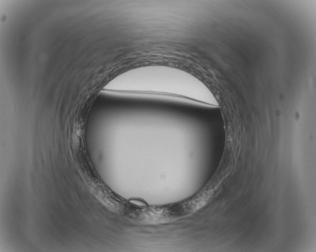 X0000087420235200704201053