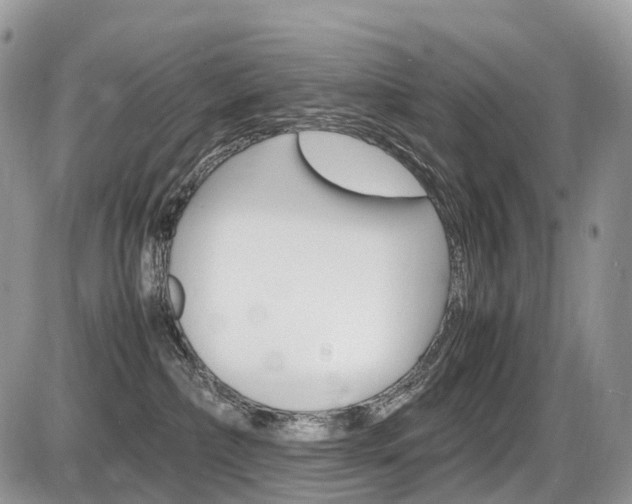 X0000087420236200704201053