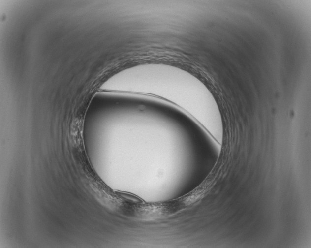 X0000087420237200704201053