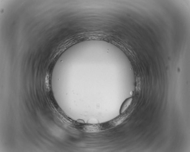 X0000087420238200704201053