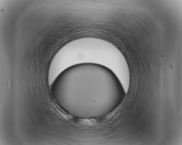 X0000087420239200704201053