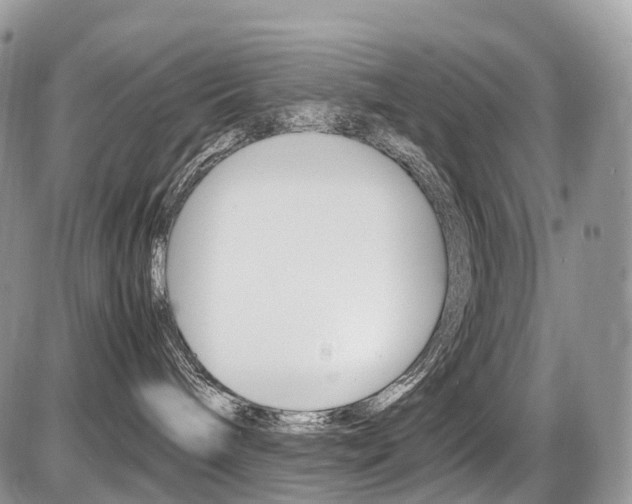 X0000087420240200704201053