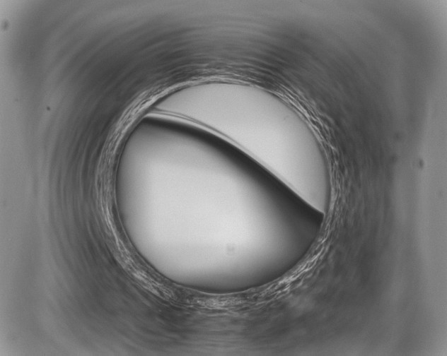 X0000087420241200704201052