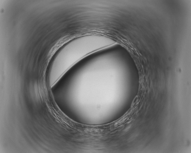 X0000087420242200704201052