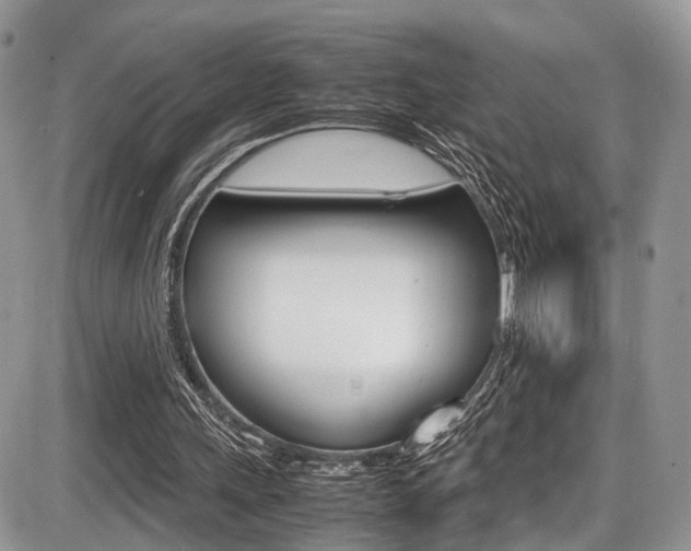 X0000087420243200704201052