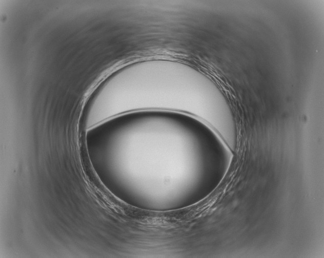 X0000087420244200704201052